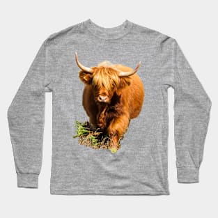 Highland Cow in Fern Long Sleeve T-Shirt